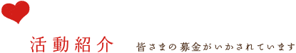 活動紹介 皆さまの募金がいかされています